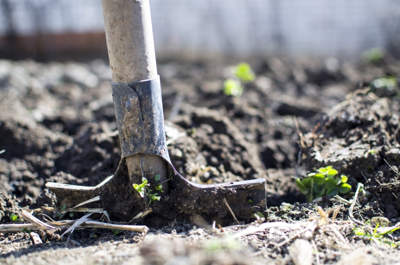 jardinerie-LA ROQUETTE SUR VAR-min_equipment-2047314