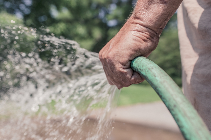 jardinerie-LA ROQUETTE SUR VAR-min_garden-hose-413684